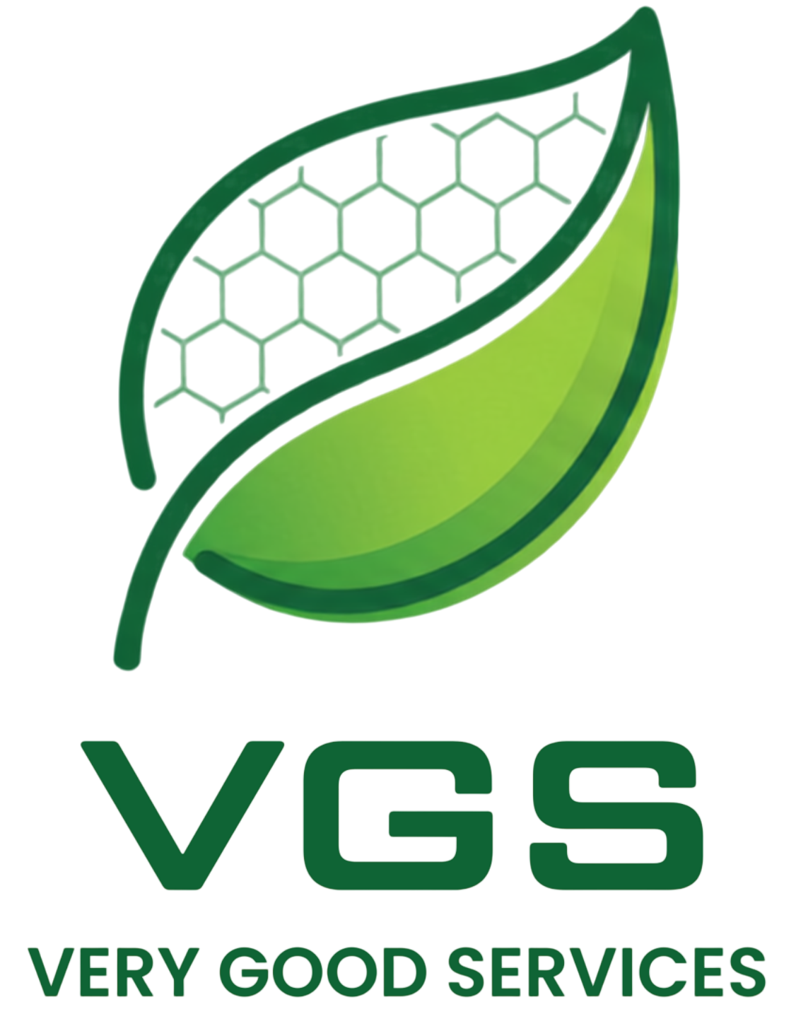 VGS logo